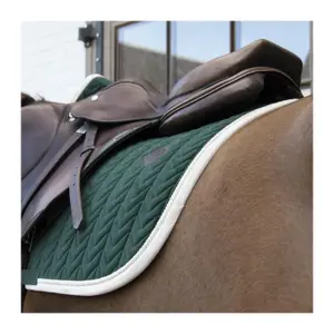 Tapis de CSO Kentucky image-2