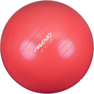 Training and Gymnastics Ball Avento image-1
