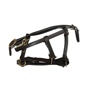 Cabestro de cuero para caballos Premiere Equitation image-1
