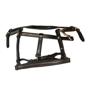 Cabestro de cuero para caballos Premiere Equitation image-0