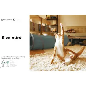 Buch das Yoga der Katze Hachette image-3