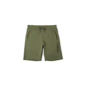 Children's shorts O'Neill All Year image-0