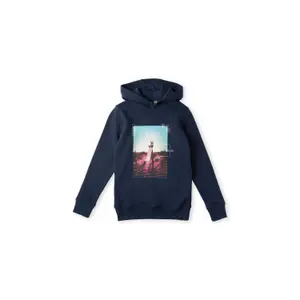 Children's hoodie O'Neill Surfboard image-0