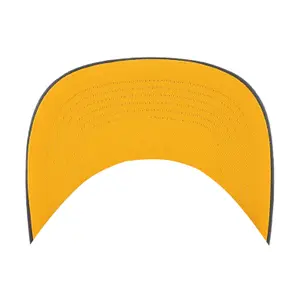 Nashville Predators baseball cap NHL Hitch image-2