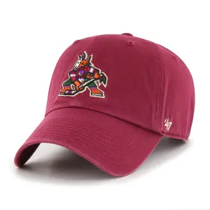 Arizona Coyotes baseball cap NHL Clean Up image-0