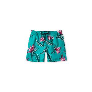 4800005-35015-kinder-shorts-o-neill-print-blauw