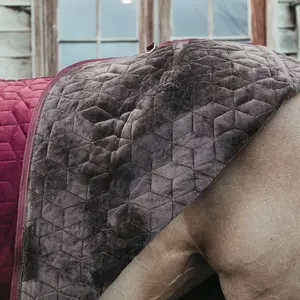 Stable blanket velvet Kentucky 160g image-4