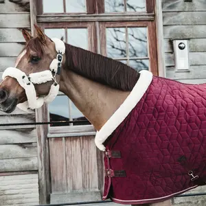 Stable blanket velvet Kentucky 160g image-2