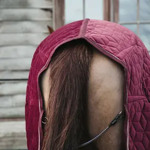 Stable blanket velvet Kentucky 160g image-3