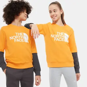 Children's sweatshirt The North Face Léger Drew Peak image-0