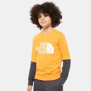 Children's sweatshirt The North Face Léger Drew Peak image-1
