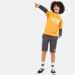 Children's sweatshirt The North Face Léger Drew Peak image-3