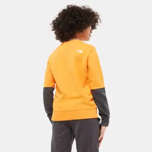 Children's sweatshirt The North Face Léger Drew Peak image-5