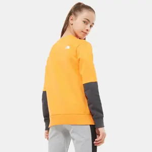 Children's sweatshirt The North Face Léger Drew Peak image-6