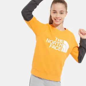 Children's sweatshirt The North Face Léger Drew Peak image-4