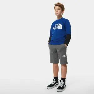 Child hoodie The North Face Léger Drew Peak image-2