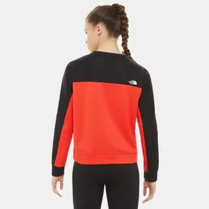 Woman sweater The North Face Court Train N Logo image-3