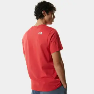 T-shirt The North Face Natural Wonders image-3