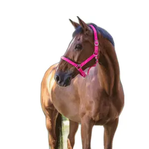 Halter Norton Fluo image-0