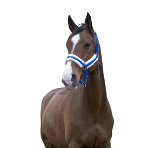 Καπίστρι για άλογο Norton Confort image-0