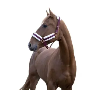 Καπίστρι για άλογο Norton Confort image-0