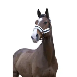 Καπίστρι για άλογο Norton Confort image-0