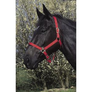 510031003-capezza-cavallo-riding-world-rosso