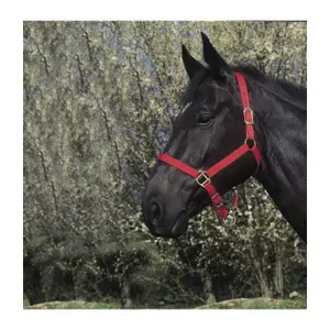 Καπίστρι για άλογο Riding World image-1