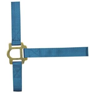 510040006-horse-halter-with-buckles-norton-royal-blue