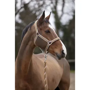 Halter Equithème Ligne image-2