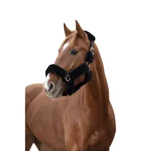 Καπίστρι για άλογο Equithème Teddy Rose gold image-0