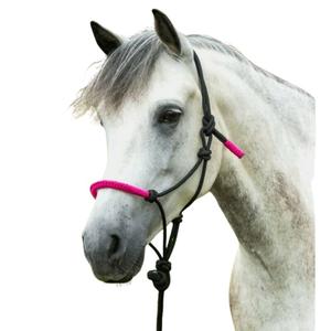 510160232-cavezza-per-cavalli-norton-fun-colour-nero-fucsia