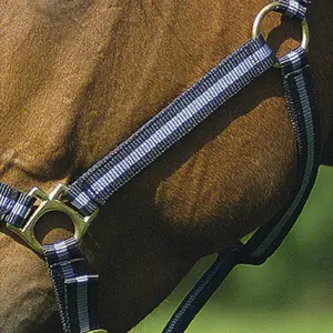 Cavezza per cavalli Norton Doublé cuir image-0