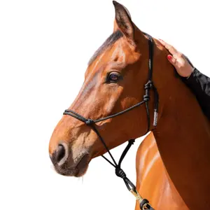 Η ναυτία για άλογα Paddock Sports image-1