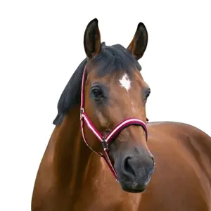 Ohlávka pro koně Norton Doublé néoprène image-1