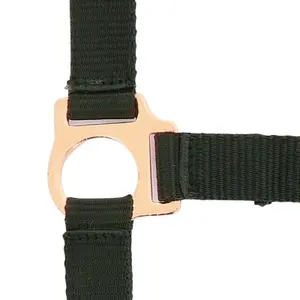 Καπίστρι για άλογο Norton Rose gold image-0