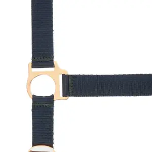 Licol pour cheval Norton Rose gold image-0