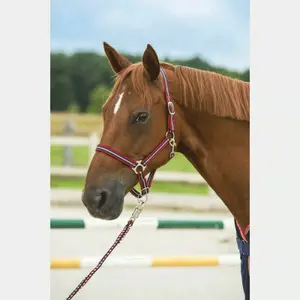 Halter Norton Doux image-2