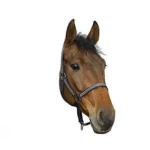 Halter Norton Diamond image-0