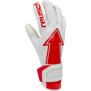 Goalkeeper gloves Reusch Arrow Gold X image-0