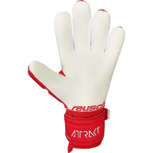 Torwarthandschuhe Kind Reusch Attrakt Freegel Silver Junior image-1