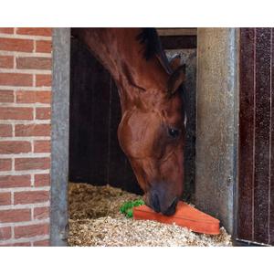 Jouet pour cheval QHP XL image-3