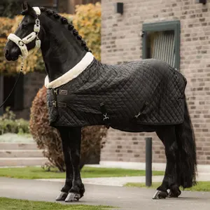 Stable Blanket Kentucky Horsewear 160g image-2