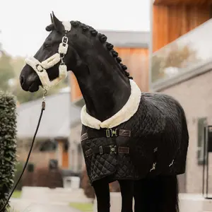 Stable Blanket Kentucky Horsewear 160g image-3