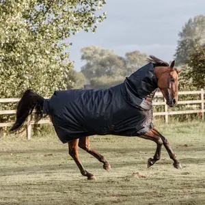 Waterproof outdoor blanket Kentucky All Weather Pro 300 g image-3