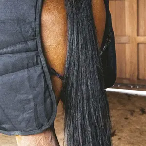 Κάλυμμα σταύλου classic pour cheval Kentucky Classic image-4