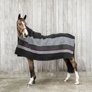 Drying horse blanket square stripe Kentucky image-1