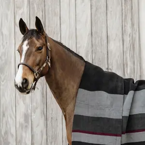 Drying horse blanket square stripe Kentucky image-2