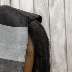 Drying horse blanket square stripe Kentucky image-4