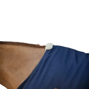 Κάλυμμα σταύλου classic pour cheval Kentucky Classic image-3